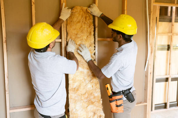 Best Batt and Roll Insulation  in Mccall, ID